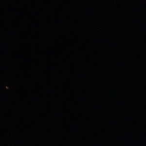 Meet your Posher, Lucy